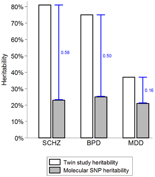 Trải Nghiệm Chơi Game Tại Sun Win 2023 Nơi Giải Trí Không Giới Hạn