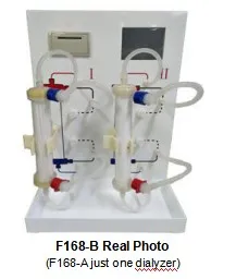 Mua Đất Tại Đà Nẵng Khám Phá Thế Giới Cá Cược Trực Tuyến Cơ Hội & Thách Thức