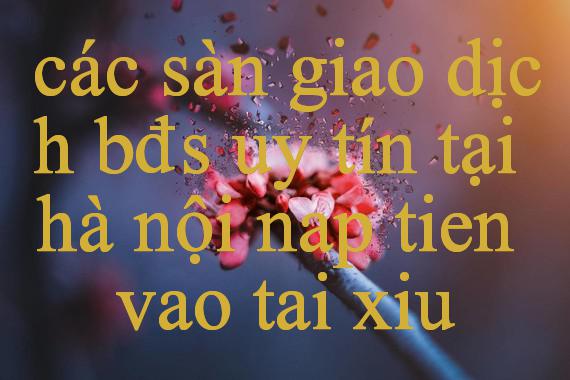 Các Sàn Giao Dịch Bđs Uy Tín Tại Hà Nội Bùng Nổ Bí Quyết Chinh Phục Thế Giới Giải Trí Online
