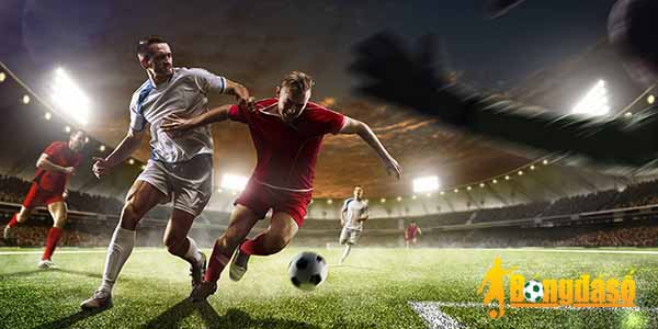 Fim Sec – Sân Chơi Đỉnh Cao Mang Đậm Nét Đẹp Của Thể Thao